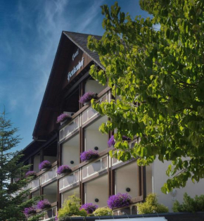 Landhotel Henkenhof Willingen Willingen